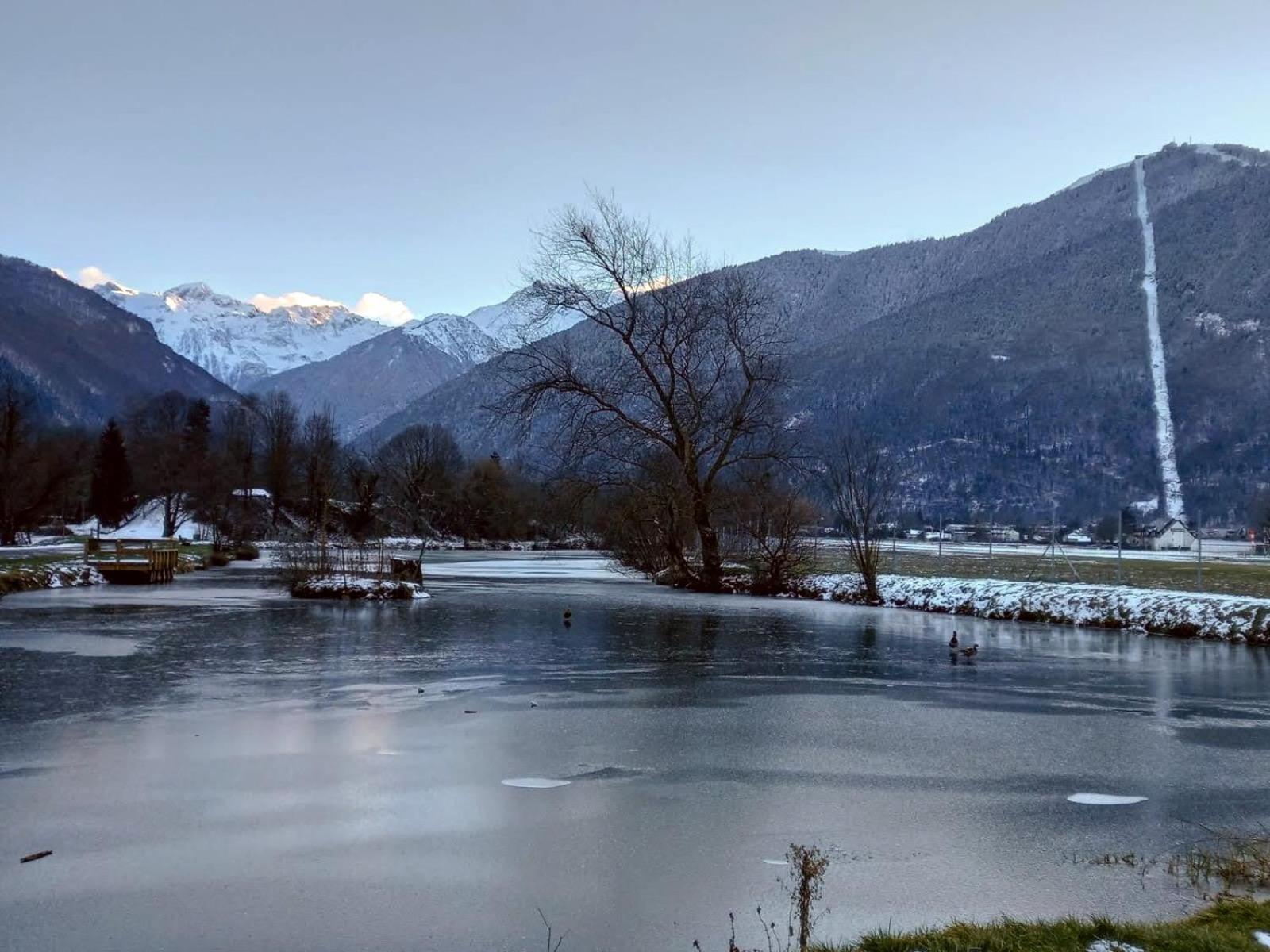 Le 102, T3 vue montagne, piscine, sauna, parking Bagnères-de-Luchon Extérieur photo
