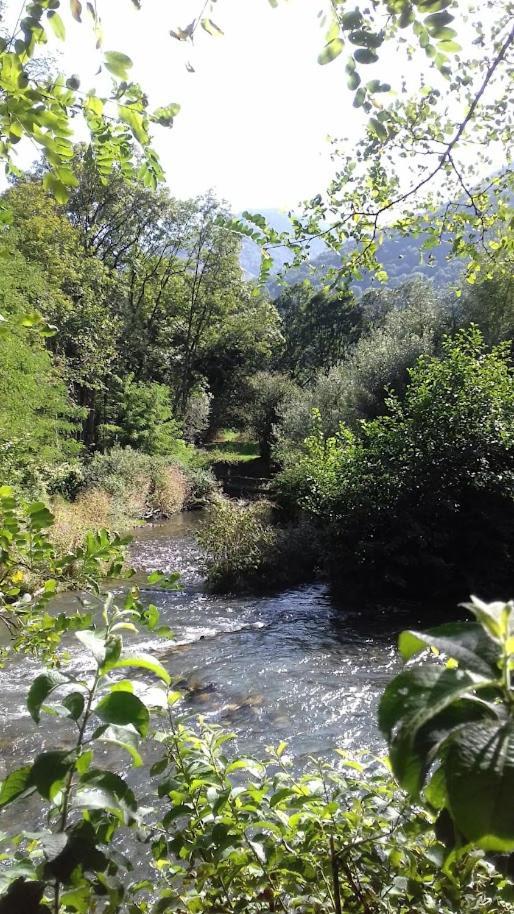 Le 102, T3 vue montagne, piscine, sauna, parking Bagnères-de-Luchon Extérieur photo
